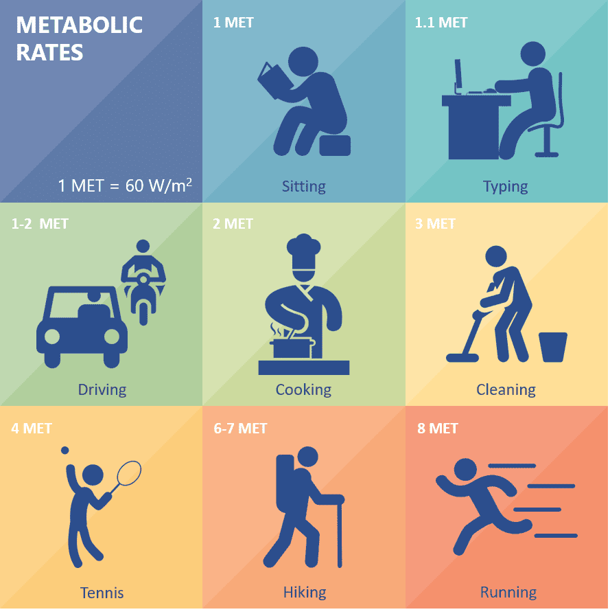 Metabolism